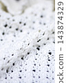Close-up textured white crocheted blanket showing intricate stitch patterns, soft fibers, and gentle natural light highlighting raised ridges and openwork details for home decor and textile design use 143874329