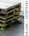 Discarded wooden pallets with moss and grime awaiting transformation into sustainable urban spaces 143874342