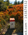 Polish border post on a colorful autumn mountain slope 143874532