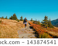 Winding hiking trail on a colorful autumn mountain slope 143874541