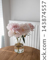 Beautiful bouquet of pink peonies in glass vase on wooden table in bright cozy room interior 143874557