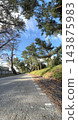 A scene from Toyokawa City, Aichi Prefecture: the pine tree-lined avenue of Goyu, where blue skies and pine trees stretch on and on. 143875983