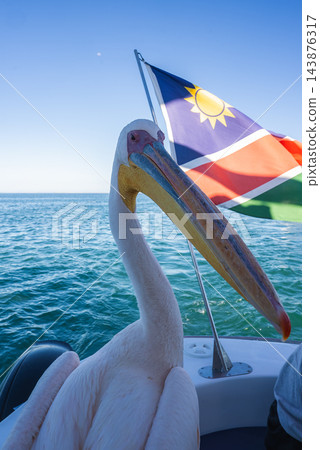 A great white pelican perches on the deck of a boat moving across the ocean beside the national flag of Namibia under a clear daytime sky. 143876317