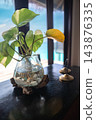 A leafy houseplant sits in a glass vase with water and white pebbles on dark wood near large windows, with turquoise ocean, sunlit deck, and two brass bells in Maldives. 143876335