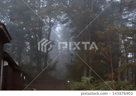 籠罩在薄霧中的森林步道 - 3 143876903
