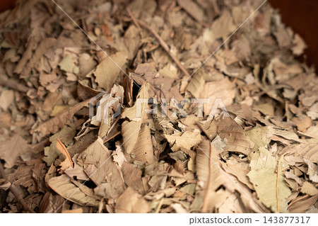 Loose dried laurel leaves sold by weight at an Egyptian herb market. Herbal products culinary seasoning local trade and tourism Loose dried laurel leaves sold by weight at an Egyptian herb market. Herbal products culinary seasoning local trade and tourism 143877317