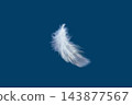 White feather with a drop of water on a blue background 143877567