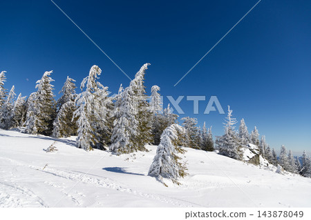 magic winter landscape with snowy fir trees magic winter landscape with snowy fir trees 143878049