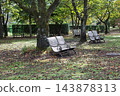 Nakanojo Gardens Relaxing Forest 143878313