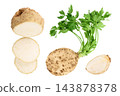 Fresh celery root isolated on white background. Top view. Flat lay. Set or collection 143878378