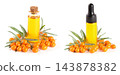 Sea-buckthorn oil with berries and leaves isolated on white background 143878382