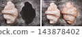 one croissant sprinkled with powdered sugar on black stone background with copy space for your text. Top view 143878402