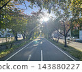 A morning stroll in early autumn 143880227