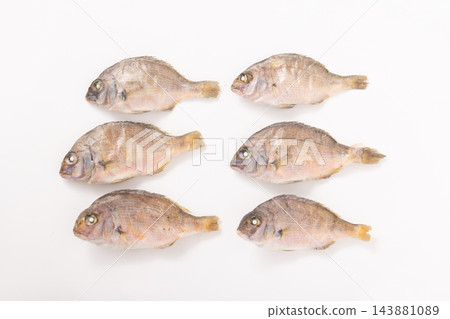 【高知縣】乾鯛魚 【高知縣】乾鯛魚 143881089