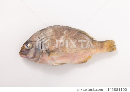 【高知縣】乾鯛魚 【高知縣】乾鯛魚 143881100