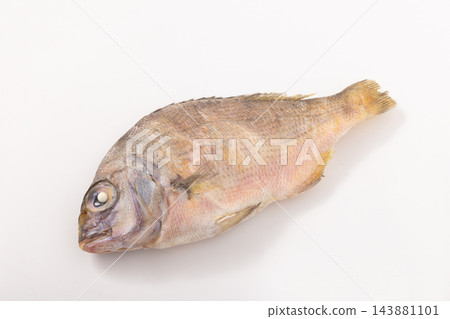 【高知縣】乾鯛魚 【高知縣】乾鯛魚 143881101