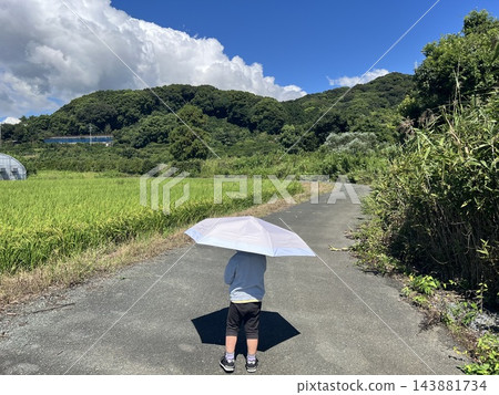拿著遮陽傘的孩子 143881734