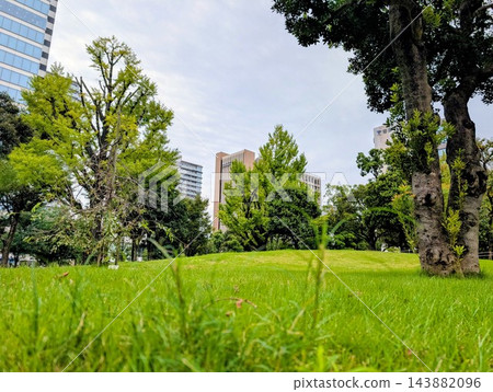 中野四季之森公園：草坪與天空 143882096