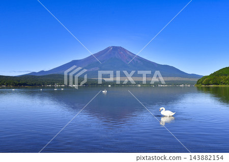 【山梨縣】從山中湖平野海灘眺望富士山的夏日景色 143882154