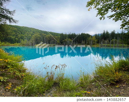 北海道上富良野町:一條筆直的道路蜿蜒穿過群山,沿途風景起伏壯麗,令人嘆為觀止。 北海道上富良野町:一條筆直的道路蜿蜒穿過群山,沿途風景起伏壯麗,令人嘆為觀止。 143882657