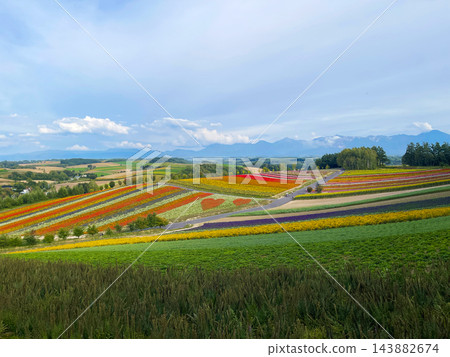 北海道上富良野町:一條筆直的道路蜿蜒穿過群山,沿途風景起伏壯麗,令人嘆為觀止。 北海道上富良野町:一條筆直的道路蜿蜒穿過群山,沿途風景起伏壯麗,令人嘆為觀止。 143882674