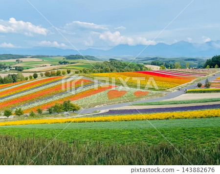 北海道上富良野町:一條筆直的道路蜿蜒穿過群山,沿途風景起伏壯麗,令人嘆為觀止。 北海道上富良野町:一條筆直的道路蜿蜒穿過群山,沿途風景起伏壯麗,令人嘆為觀止。 143882676