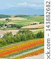 Kamifurano Town, Hokkaido: A straight road running through the hills and breathtaking scenery with its ups and downs. 143882682