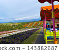 Kamifurano Town, Hokkaido: A straight road running through the hills and breathtaking scenery with its ups and downs. 143882687