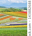 Kamifurano Town, Hokkaido: A straight road running through the hills and breathtaking scenery with its ups and downs. 143882688