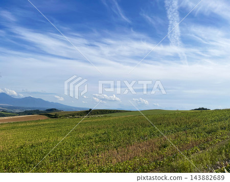 北海道上富良野町:一條筆直的道路蜿蜒穿過群山,沿途風景起伏壯麗,令人嘆為觀止。 北海道上富良野町:一條筆直的道路蜿蜒穿過群山,沿途風景起伏壯麗,令人嘆為觀止。 143882689
