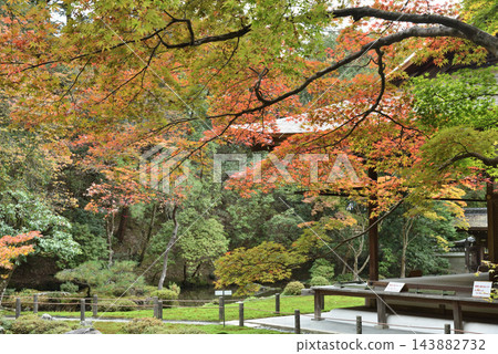 秋季的南禪院:庭園與住持寢宮(京都市左京區) 秋季的南禪院:庭園與住持寢宮(京都市左京區) 143882732