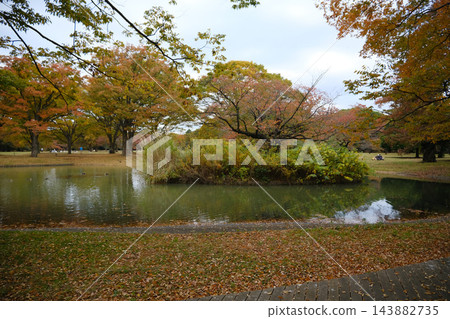 2022年11月,代代木公園清晨 2022年11月,代代木公園清晨 143882735