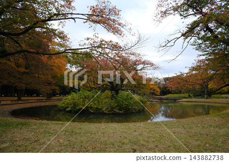 2022年11月,代代木公園清晨 2022年11月,代代木公園清晨 143882738