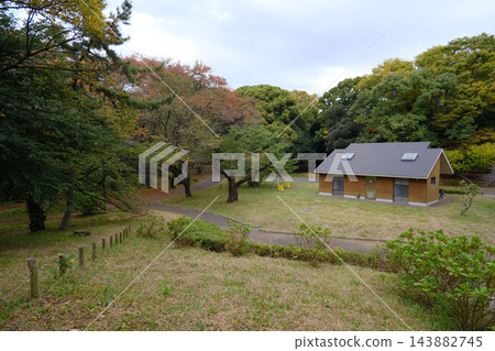 2022年11月，代代木公園清晨 143882745