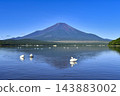 [Yamanashi Prefecture] Summer view of Mt. Fuji from the beach of Yamanakako Hirano 143883002