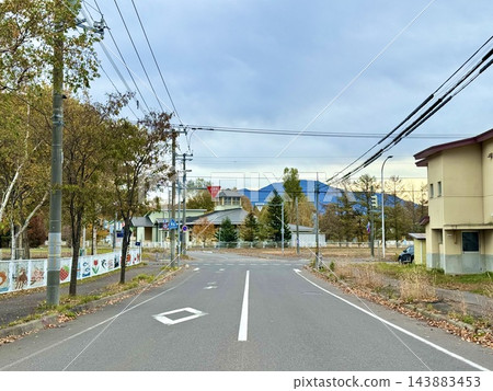 秋季居民區的十字路口，有停車標誌和成排的樹木。 143883453
