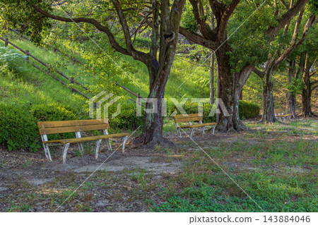 在老公園的長凳 在老公園的長凳 143884046
