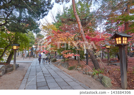 七柱神社，參道沿途秋色斑斕，燈籠點綴，石板路蜿蜒，深秋時節，長野縣松本市 143884306