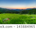 秋日清晨，陽光灑在久留米木的梯田上。 143884965