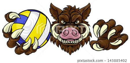 Boar Razorback Hog Volleyball Volley Ball Mascot Boar Razorback Hog Volleyball Volley Ball Mascot 143885402