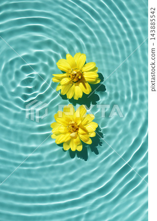 Zinnia blossoms floating on blue water with sunlight reflections. Zinnia blossoms floating on blue water with sunlight reflections. 143885542