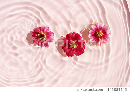Zinnia blossoms floating on blue water with sunlight reflections. 143885543