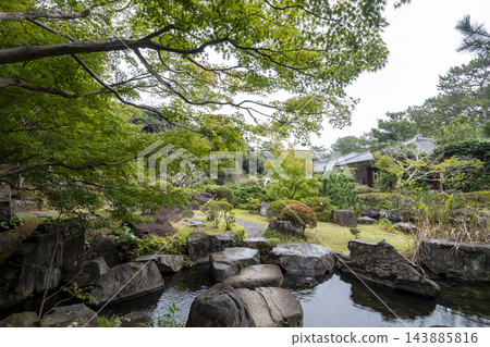 葉山潮騷公園的秋天 葉山潮騷公園的秋天 143885816