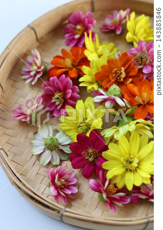 Edible zinnia flowers for food decoration. Edible zinnia flowers for food decoration. 143885846
