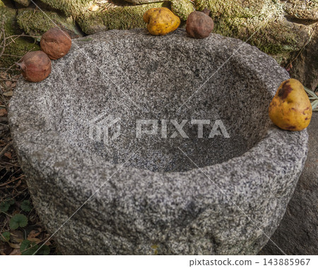 Traditional Granite Stone Basin with Weathered Fruits 143885967