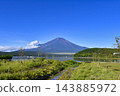 [Yamanashi Prefecture] Summer view of Mt. Fuji from the shore of Lake Yamanaka 143885972