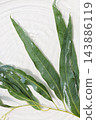 Eucalyptus branches resting in clear rippling water. 143886119