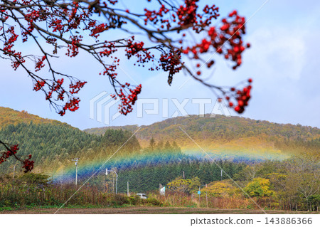 A frame of vibrant red berries and a beautiful rainbow bridge stretching across the foreground of autumn-colored mountains and forests. 143886366