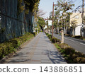 A straight city street in Tokyo lined with street trees. 143886851