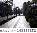 A straight city street in Tokyo lined with street trees. 143886852
